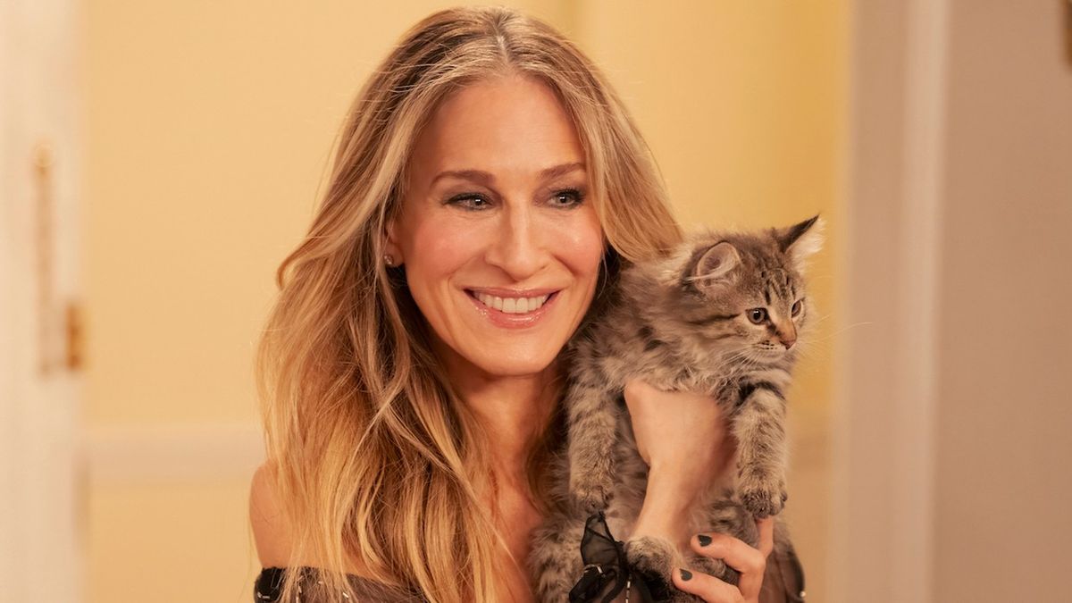 Sarah Jessica Parker Adopts Her ‘And Just Like That' Kitten, Shoe, IRL