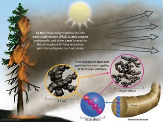 A diagram showing how particulate matter, volatile organic compounds, and other gases form secondary particles and gases as they move away from a wildfire.