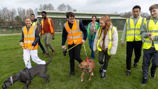 A group of rescue volunteers with dogs