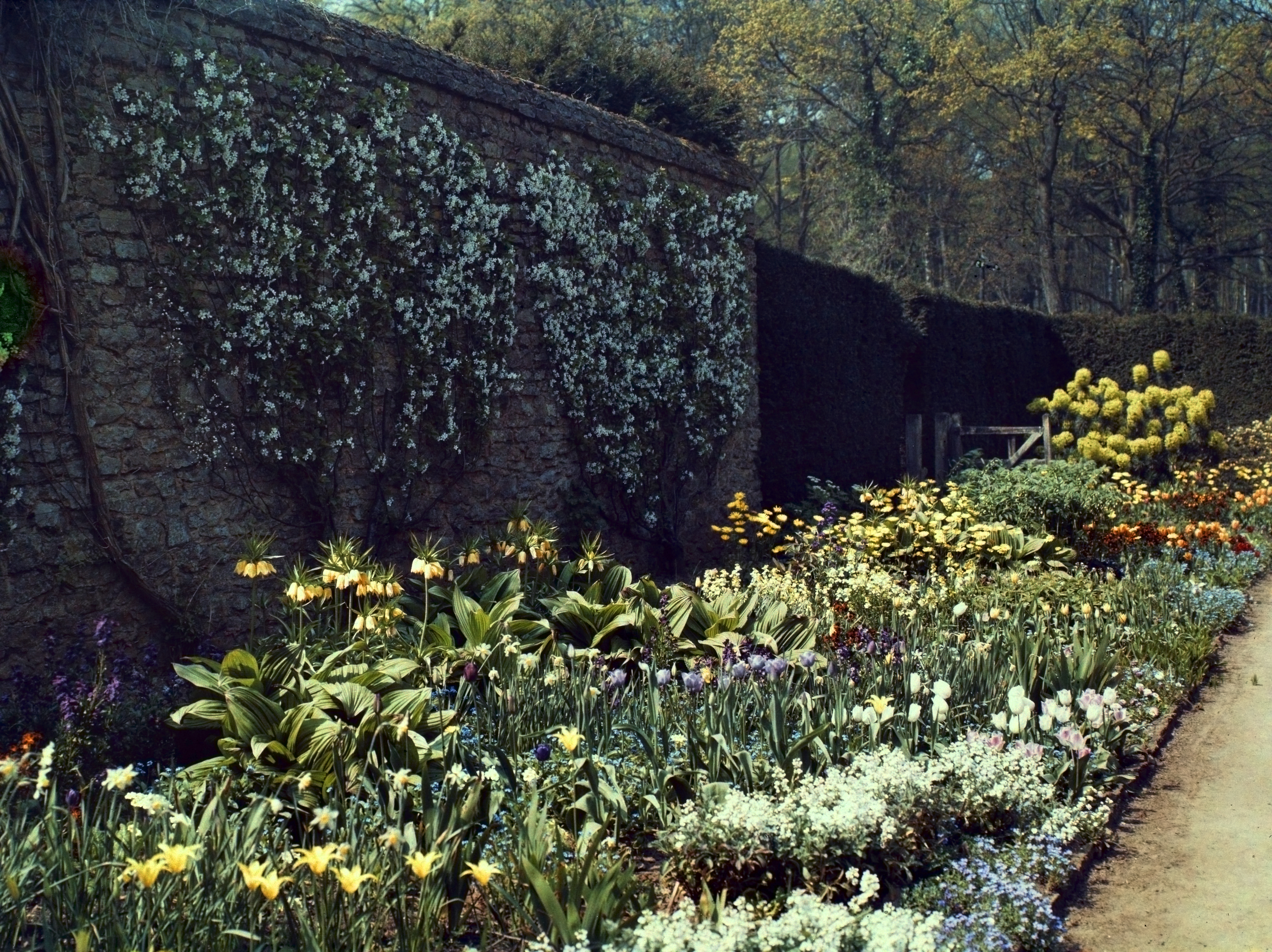 Munstead Wood garden