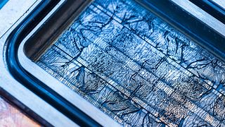 Microfluidics liquid cooling by Microsoft