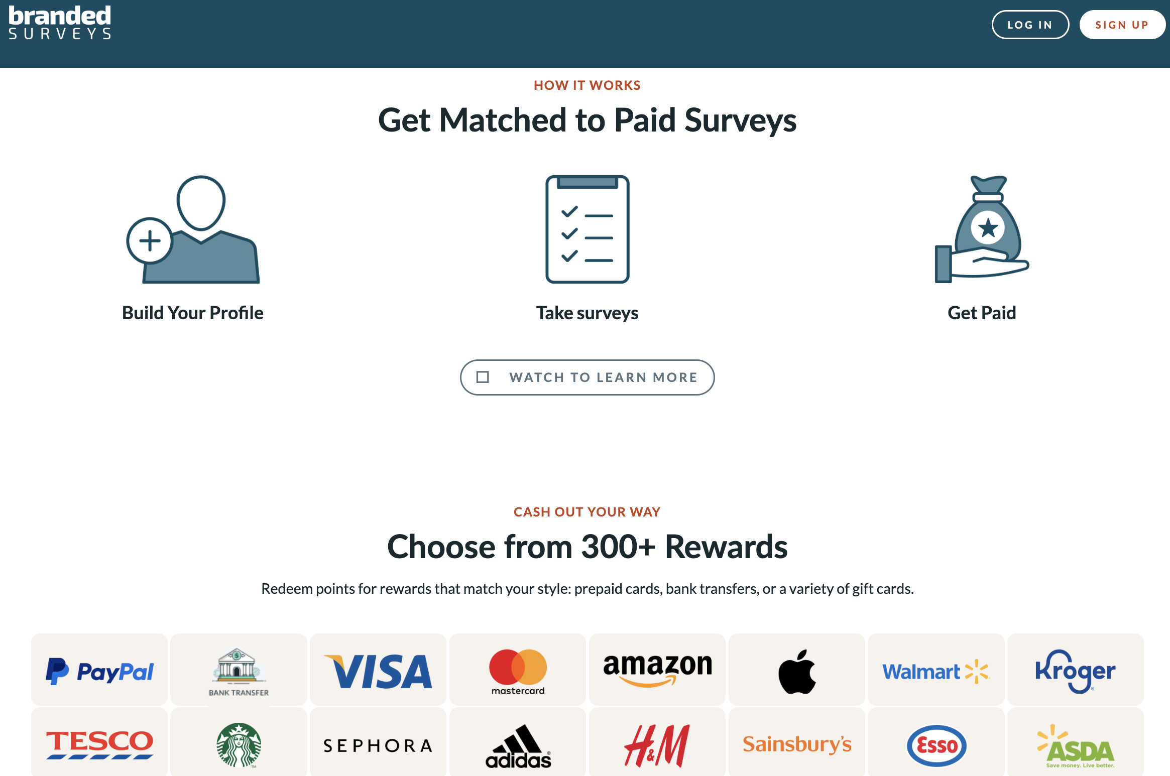 An image of the Branded Surveys homepage