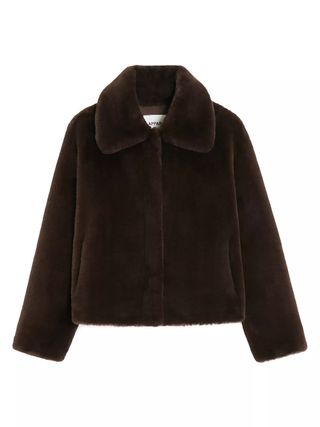 brown fur jacket