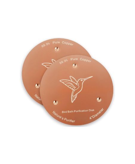 Bird Bath Copper Disks