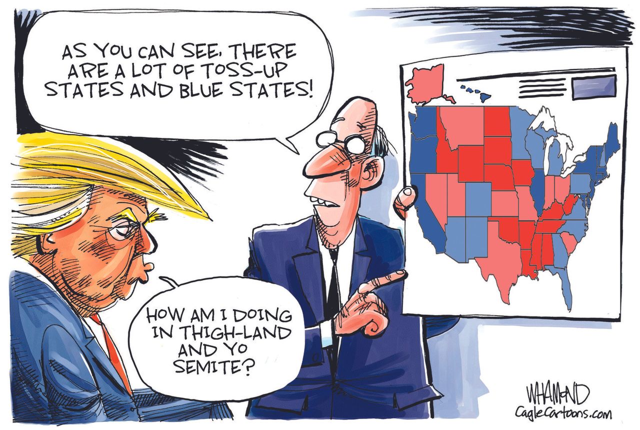 Political Cartoon U.S. President Trump 2020 Election Electoral Map Thighland Yosemite