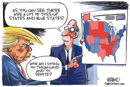 Political Cartoon U.S. President Trump 2020 Election Electoral Map Thighland Yosemite