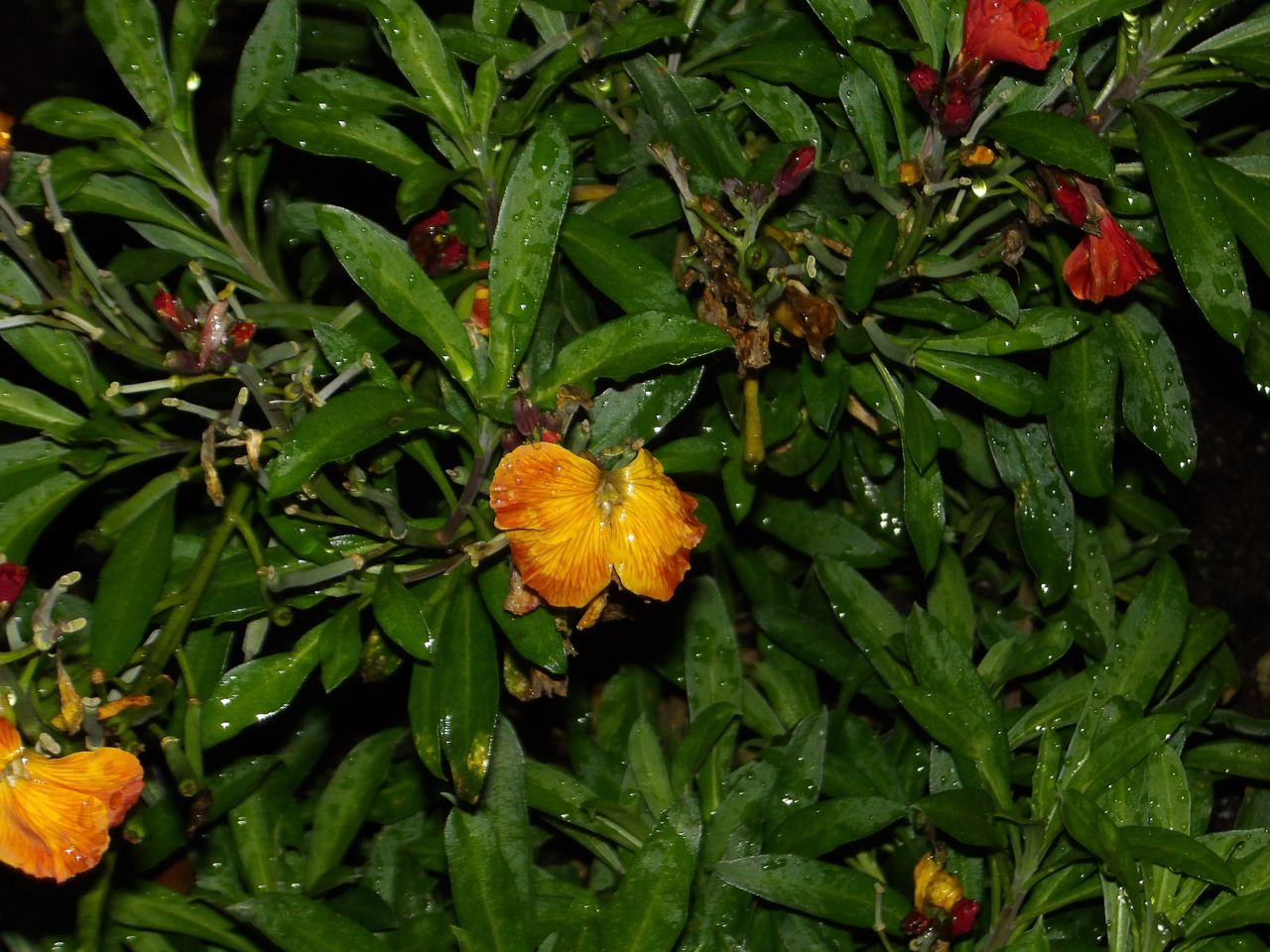 A photo taken on a Kodak PIXPRO WPZ2 compact camera