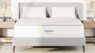 Best organic mattress: image shows the Amerisleep Organica mattress on a light grey fabric bedframe