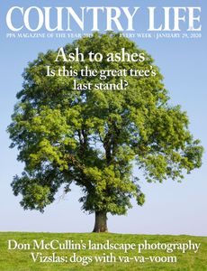 Cover of Country Life 29 January 2020