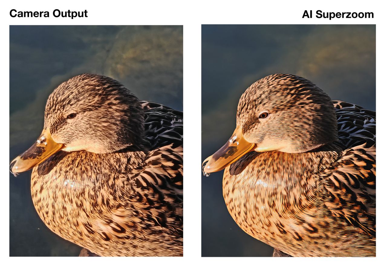 Two matching pictures of a duck on a lake side by side, the image on the right has been enhanced by AI