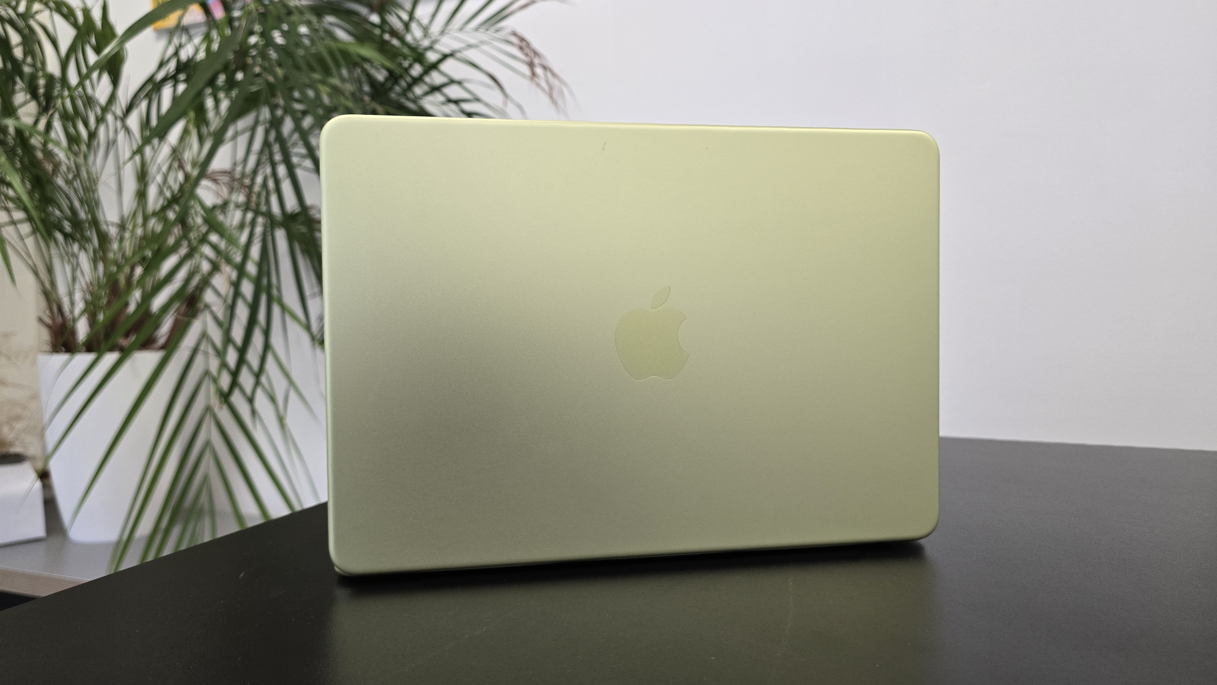MacBook Neo laptop on a desk with plant in background
