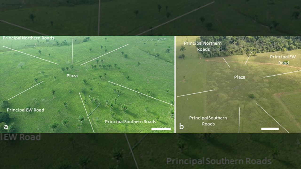 A bird's-eye view of round villages in the Amazon.