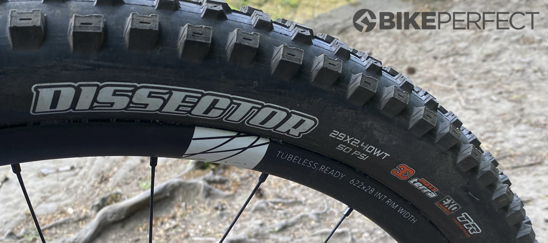 Maxxis Dissector Exo tyre review | BikePerfect