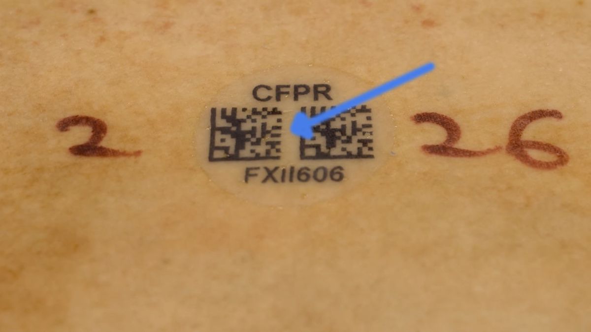 p-Chip micro-transponders