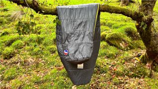The Big Agnes Anthracite 20° sleeping bag on a tree branch