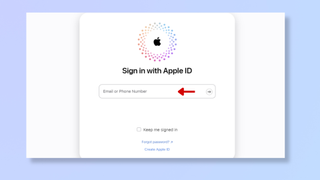 A screenshot of the icloud.com sign in page, with a red arrow pointing at the Email or Phone Number field. 