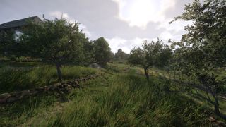 A screenshot of Kingdom Come: Deliverance 2 using the game's photo mode