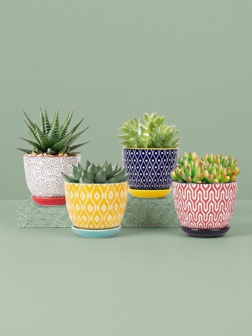 Ceramic Succulent Pots&nbsp;