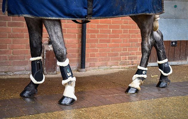 Veredus STS TRC Vento brushing boots review
