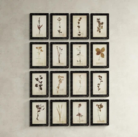 16 piece dried flower frames from Wayfair