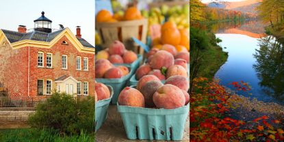 Window, Natural landscape, Fruit, Landscape, Produce, Natural foods, Local food, Peach, Tarn, Bank, 