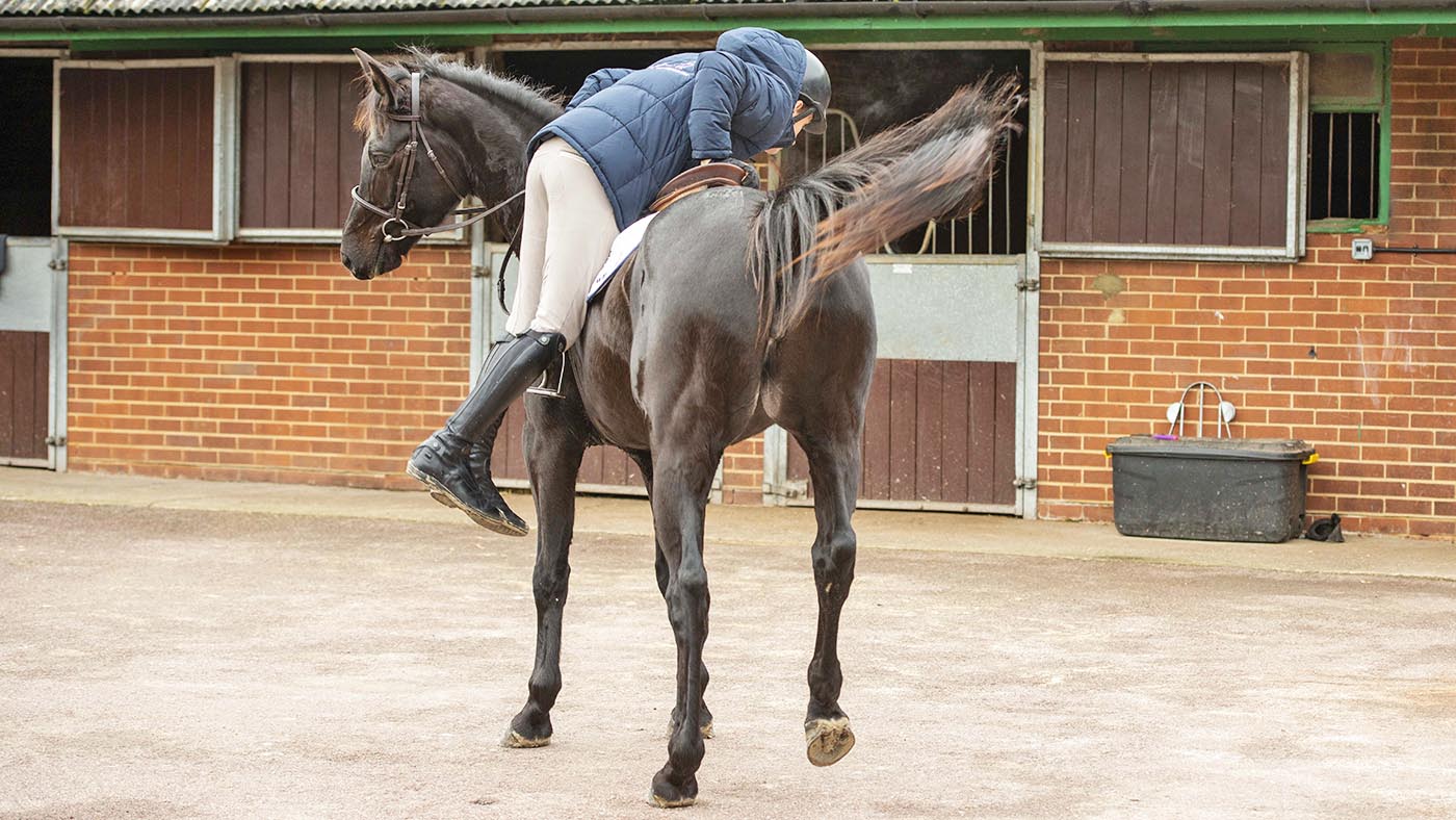 Will Plunkett getting on young Billy Stud horse Billy Candle as part of the breaking in process. They could barely touch her 2 weeks before!