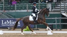 Ashley Jenkins and Game On I in the five-year-olds at the National Dressage Championships 2024.