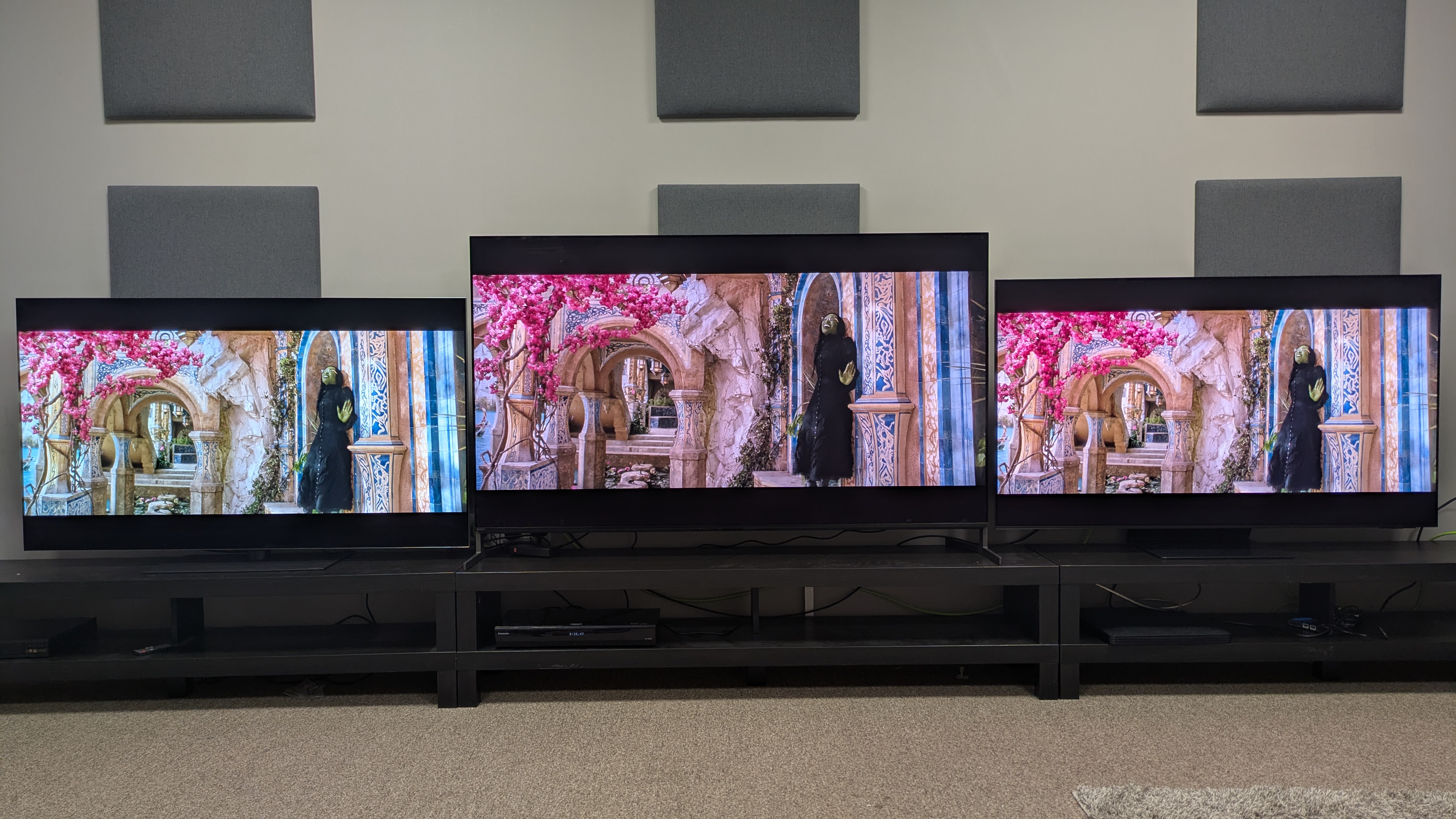 LG G5 (left) Sony Bravia 8 II (middle) and Samsung S95F (right) with Elphaba from Wicked among pink flowers