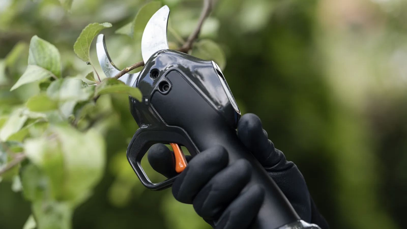 Husqvarna 2026 models