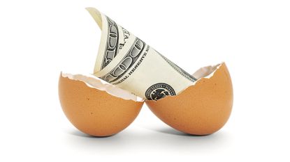 A brown egg is broken open to show a hundred-dollar bill.
