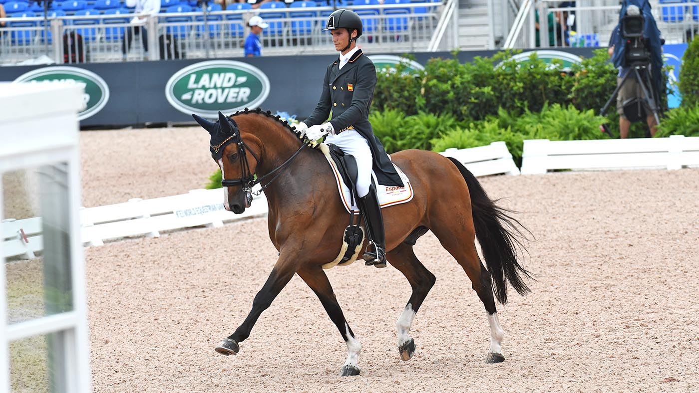Dressage-GP_WEG18_PN18_110609_325378491_368702571.jpg