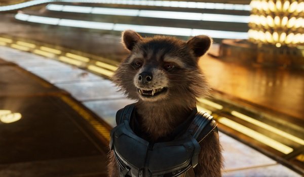 Guardians of the Galaxy Vol 2 Rocket Smiling