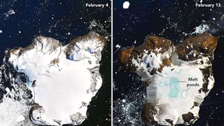 Antarctica's Eagle Island on Feb. 4 and Feb. 13, 2020.