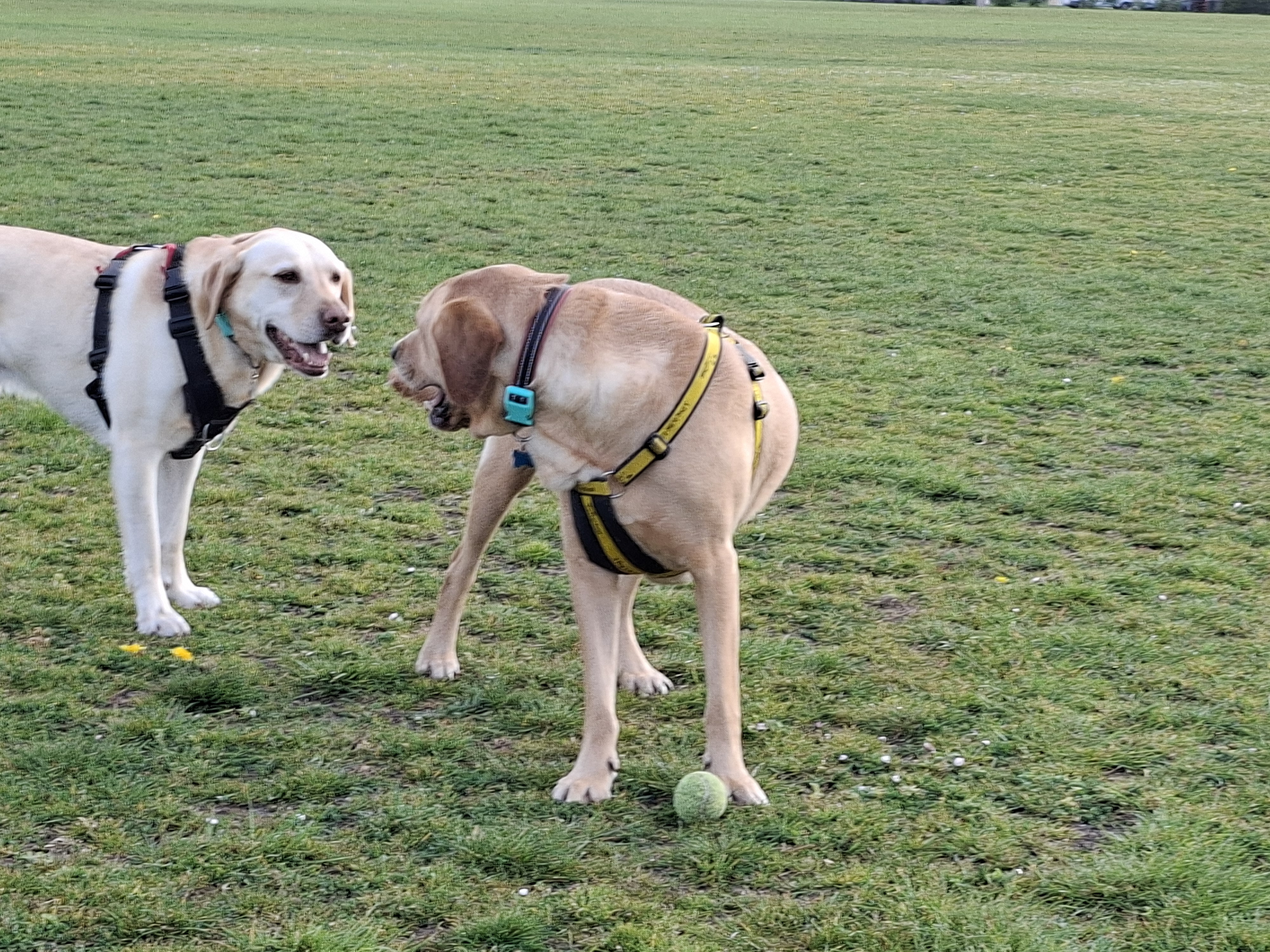 nothing phone 4a pro bs samsung galaxy a57 review shots