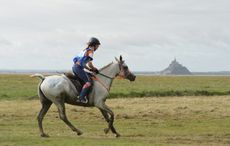 Marijke-VISSER-DSC_1256.jpg