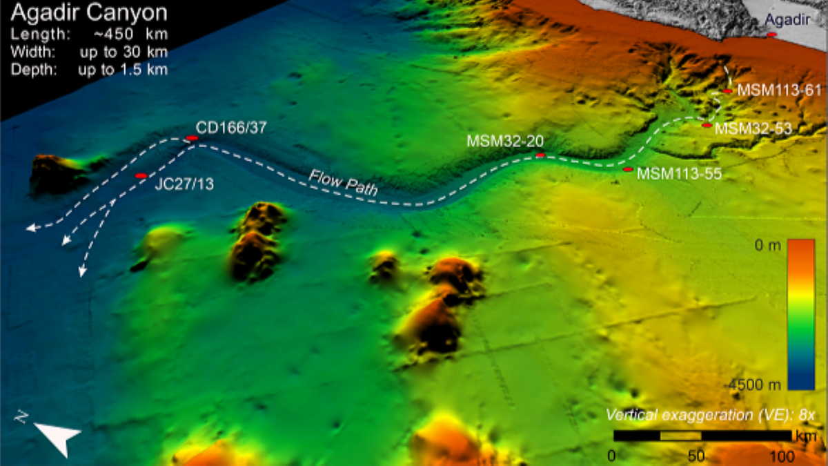 Giant underwater avalanche decimated Atlantic seafloor 60k years ago