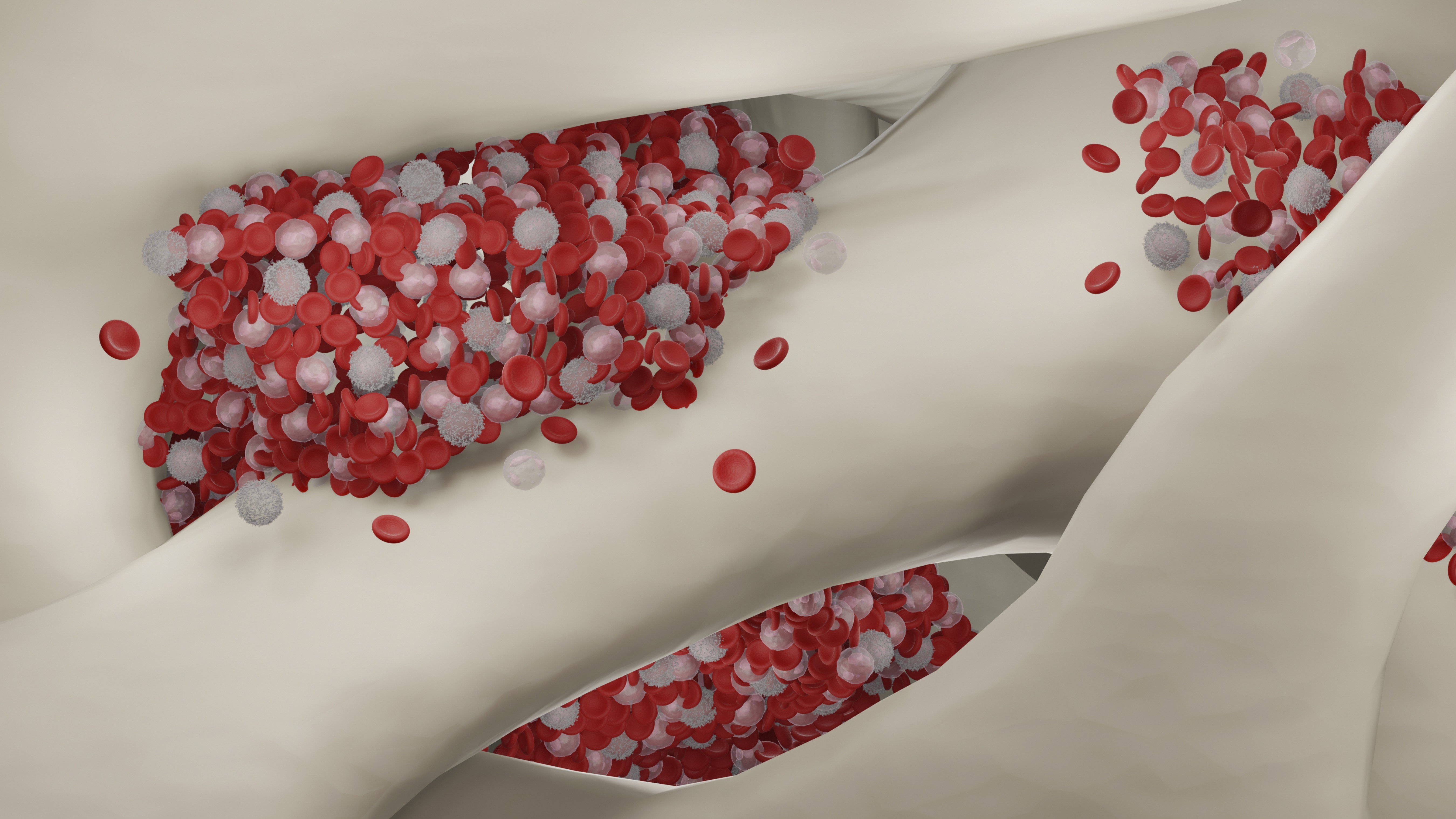 illustration of red and white blood cells and platelets being formed in bone marrow