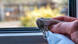 A hand holds a piece of tissue with black mould on it in front of a window