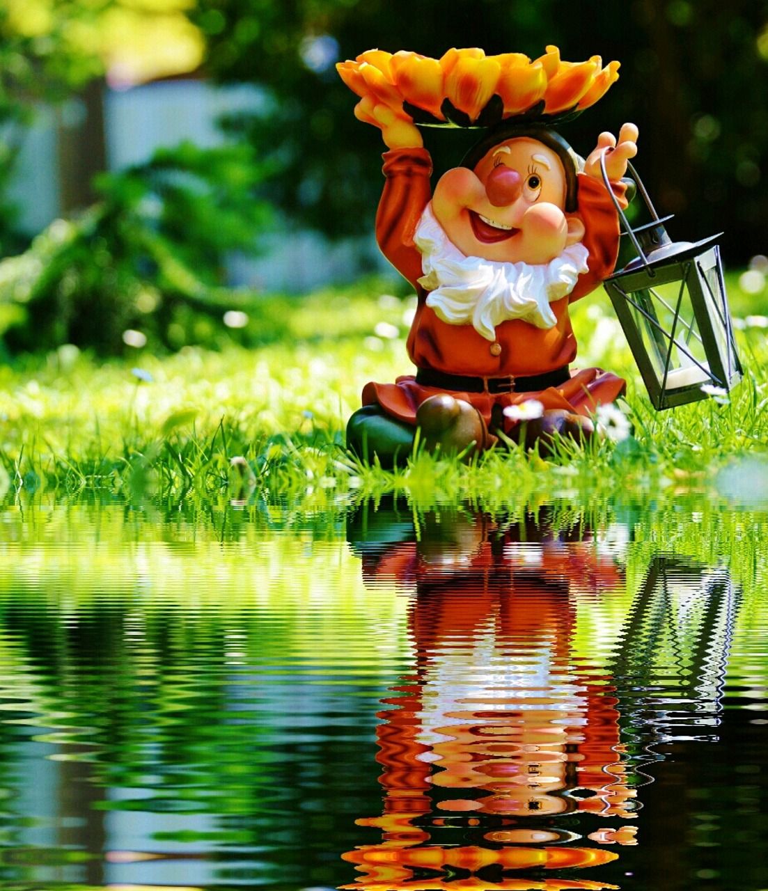 Solar Gnome