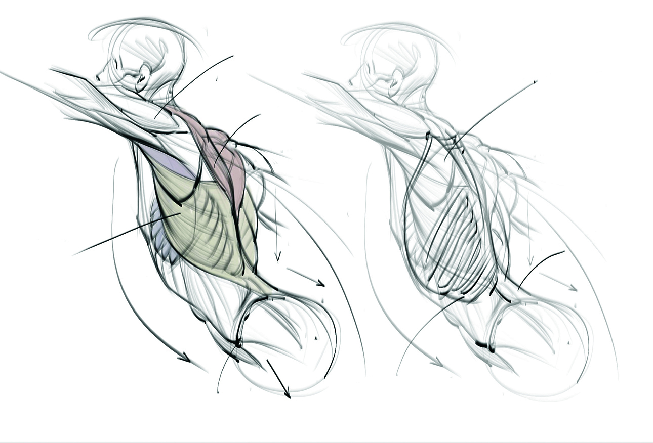 An example from a figure drawing tutorial 