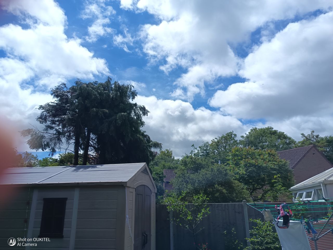 Oukitel WP66 Photo Examples