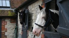 HAH00.lb_stockautumn21.DSC_0196.jpg