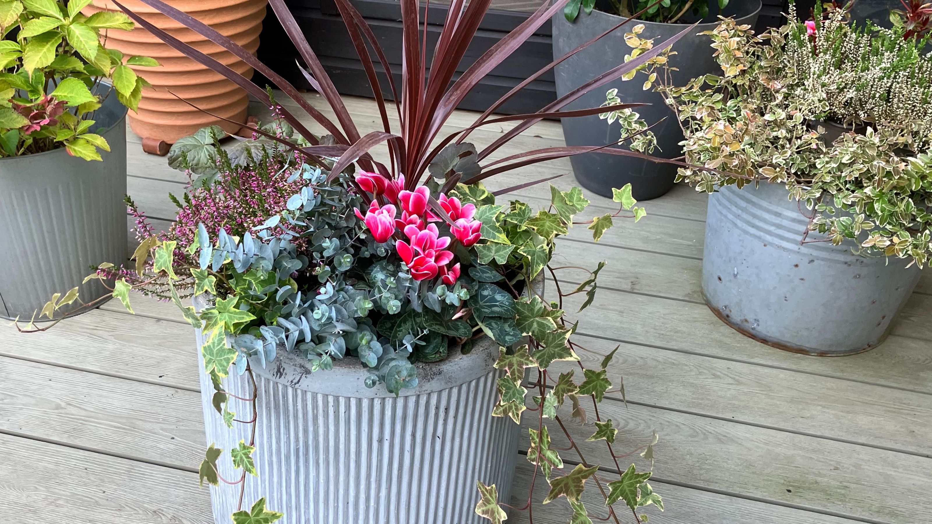winter planters on garden decking