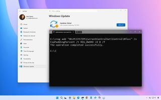 A Windows desktop screen shows a "Windows Update" error with "Updates failed" message. A Command Prompt window displays a successful registry edit.
