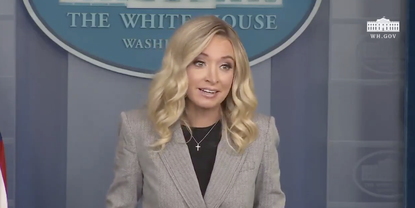 White House Press Secretary Kayleigh McEnany.
