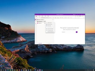 Onenote section with password protection