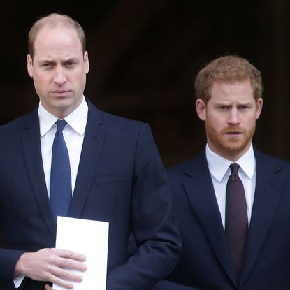 Prince William and Prince Harry.