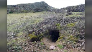 The wardens found the artifacts by this rabbit hole on Skokholm Island.