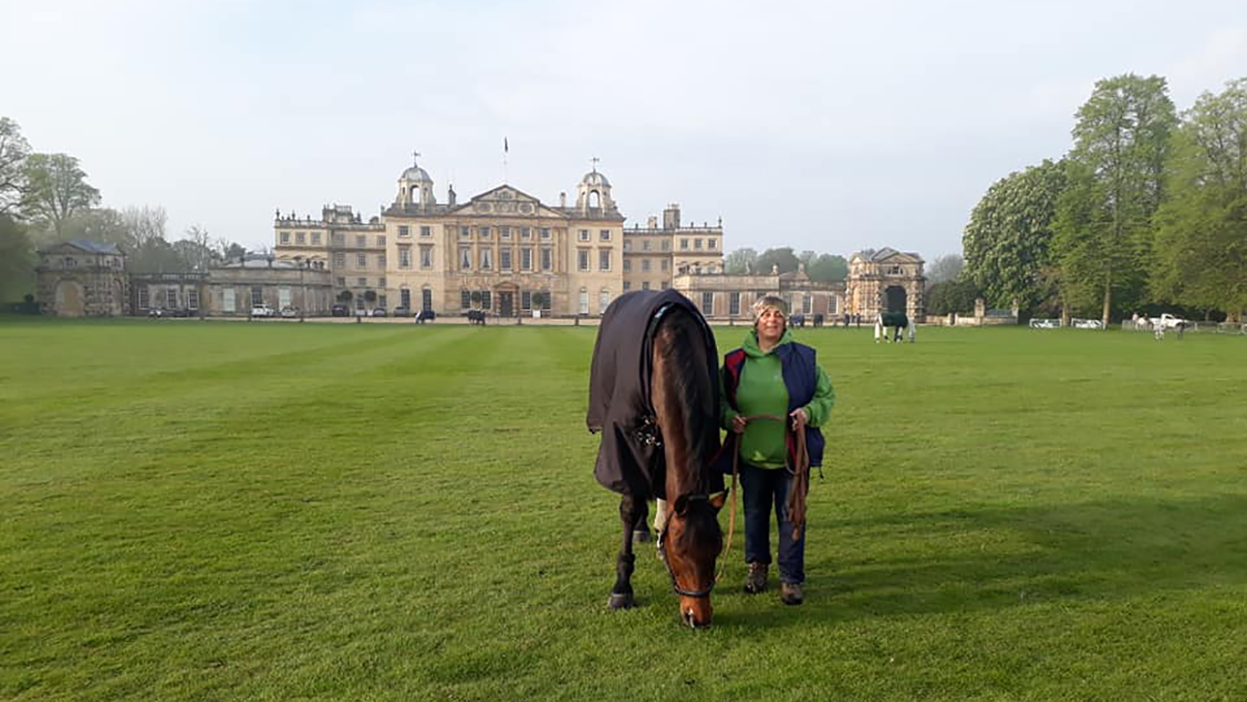 David Britnell's Continuity grazing in front of Badminton house