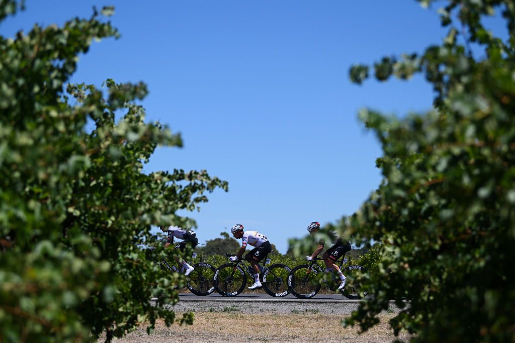 WILLUNGA HILL AUSTRALIA JANUARY 25 Jhonatan Narvaez of Ecuador and UAE Team Emirates Xrg competes passing through a landscape during the 25th Santos Tour Down Under 2025 Stage 5 a 1457km stage from McLaren Vale to Willunga Hill 371m UCIWT on January 25 2025 in Willunga Hill Australia Photo by Dario BelingheriGetty Images